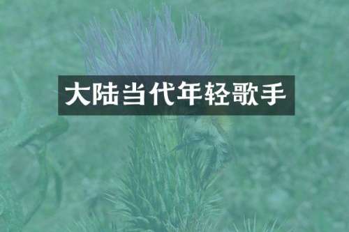 大陆当代年轻歌手