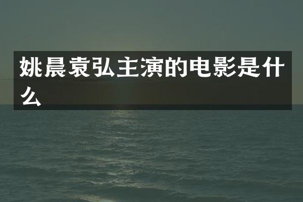 姚晨主演的电影是什么