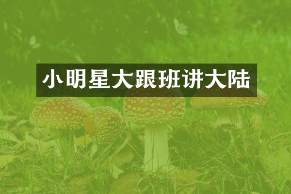 小明星大跟班讲大陆