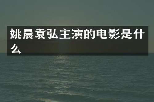 姚晨主演的电影是什么