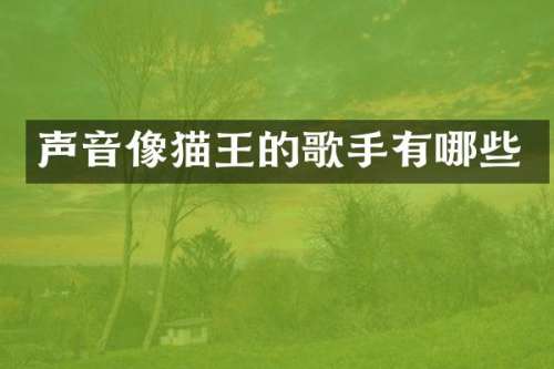 声音像猫王的歌手有哪些