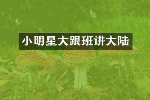 小明星大跟班讲大陆