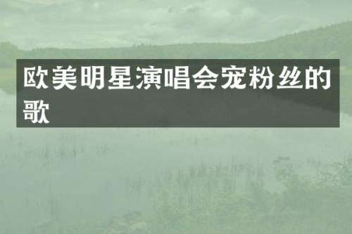 欧美明星演唱会宠粉丝的歌