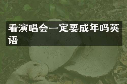 看演唱会一定要成年吗英语