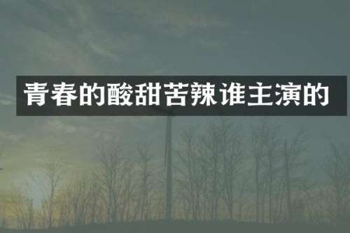 青春的酸甜苦辣谁主演的