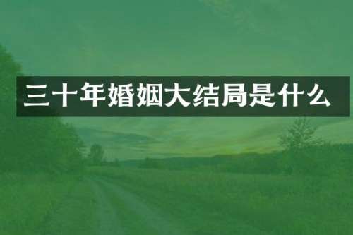 三十年婚姻大结局是什么
