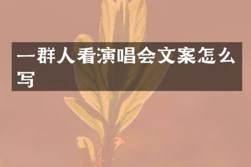 一群人看演唱会文案怎么写