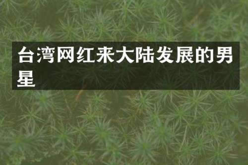 台湾网红来大陆发展的男星