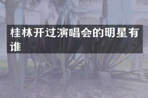 桂林开过演唱会的明星有谁