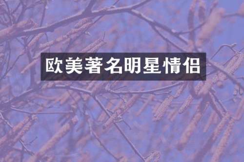 欧美著名明星情侣