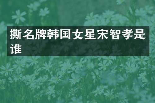 撕名牌韩国女星宋智孝是谁