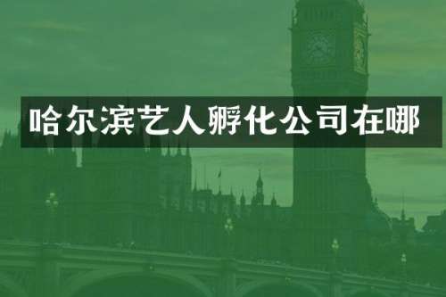 哈尔滨艺人孵化公司在哪