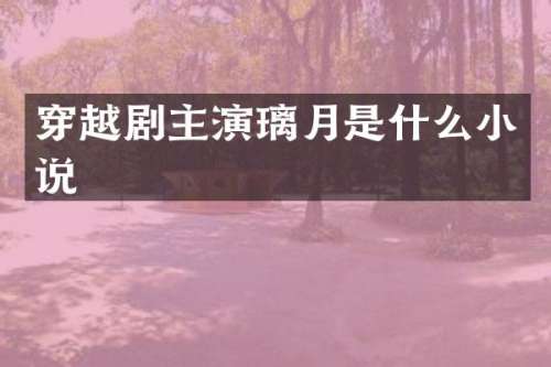 穿越剧主演璃月是什么小说
