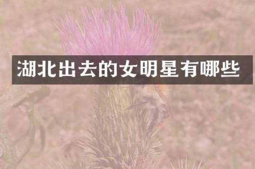 湖北出去的女明星有哪些