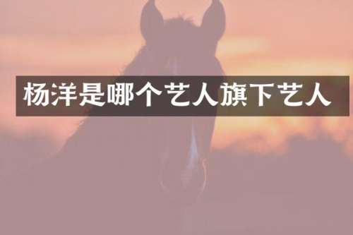 杨洋是哪个艺人旗下艺人