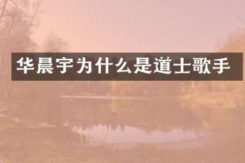 华晨宇为什么是道士歌手
