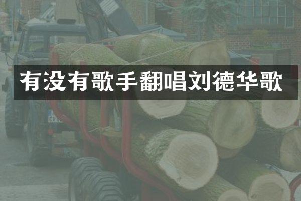 有没有歌手翻唱刘德华歌