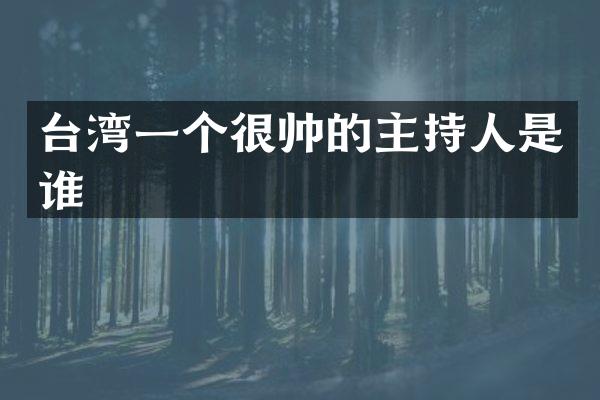 台湾一个很帅的主持人是谁