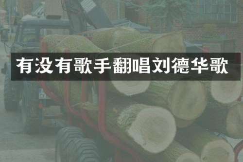 有没有歌手翻唱刘德华歌