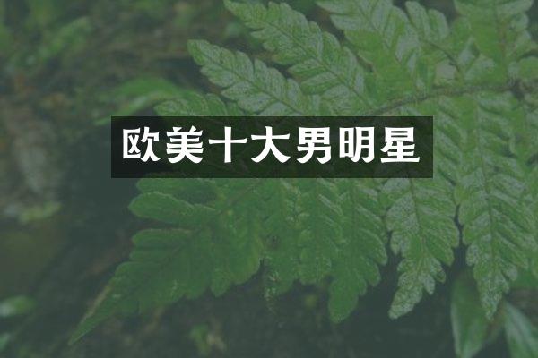 欧美十大男明星