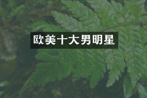 欧美十大男明星