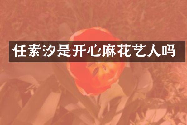 任素汐是开心麻花艺人吗