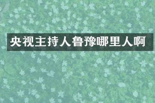 央视主持人鲁豫哪里人啊