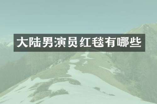 大陆男演员红毯有哪些