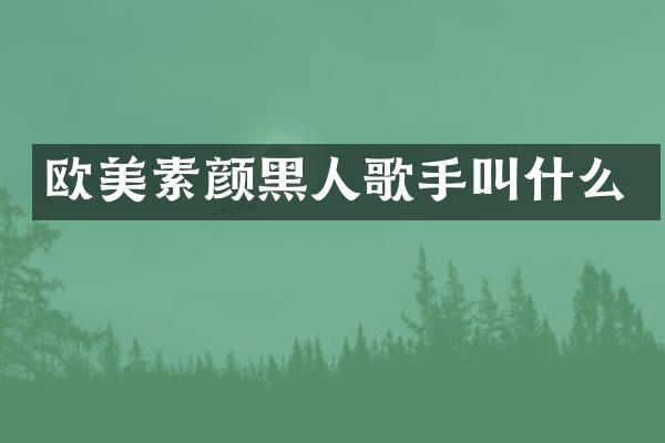 欧美素颜黑人歌手叫什么