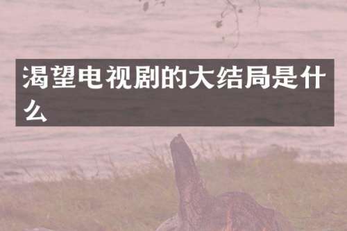 渴望电视剧的大结局是什么