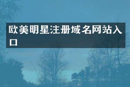 欧美明星注册域名网站入口