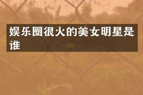 娱乐圈很火的明星是谁