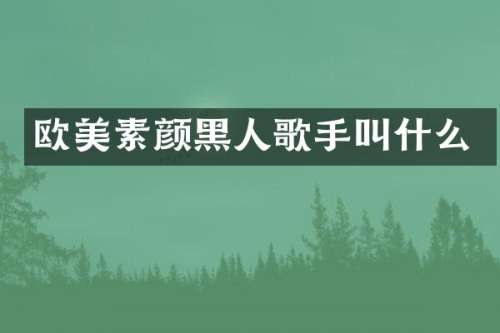 欧美素颜黑人歌手叫什么