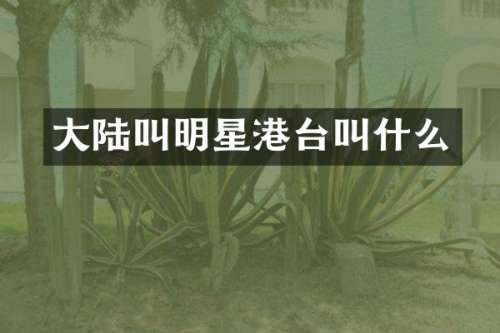 大陆叫明星港台叫什么