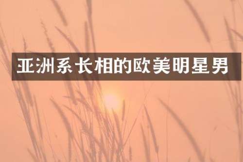 亚洲系长相的欧美明星男