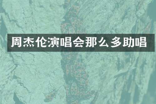 周杰伦演唱会那么多助唱