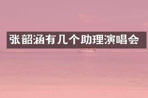 张韶涵有几个助理演唱会