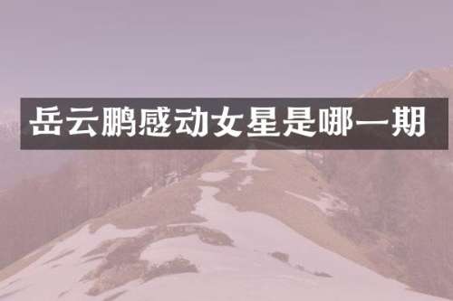 岳云鹏感动女星是哪一期