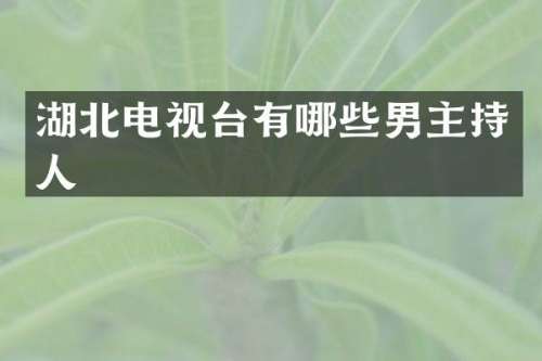 湖北电视台有哪些男主持人