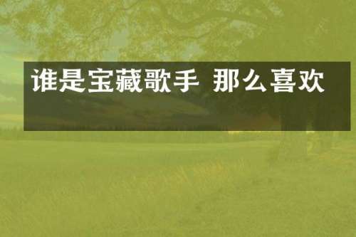 谁是宝藏歌手 那么喜欢你