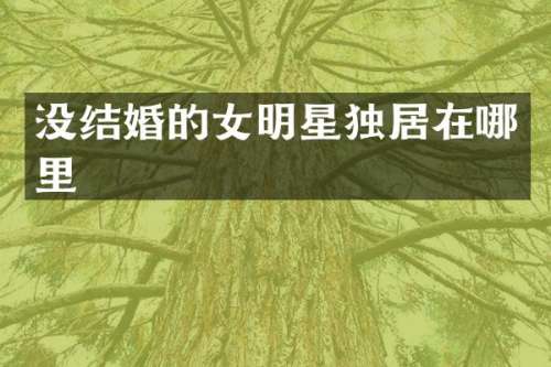 没结婚的女明星独居在哪里