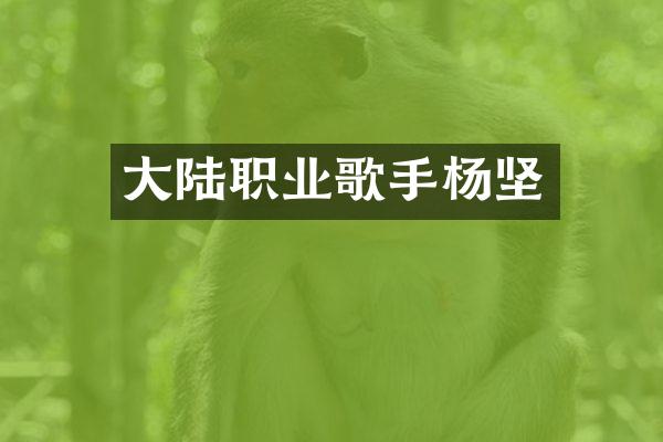 大陆职业歌手杨坚