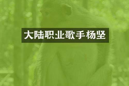 大陆职业歌手杨坚