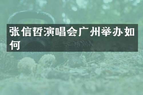 张信哲演唱会广州举办如何