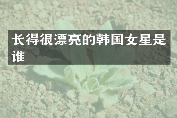 长得很漂亮的韩国女星是谁