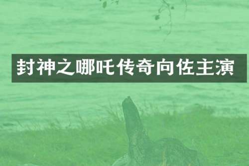 封神之哪吒传奇向佐主演