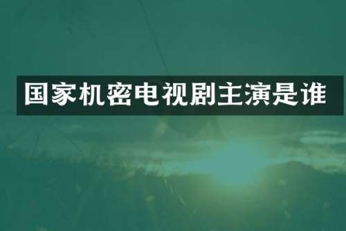 国家机密电视剧主演是谁