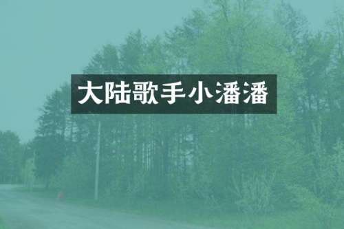 大陆歌手小潘潘