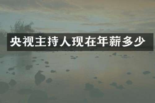 央视主持人现在年薪多少