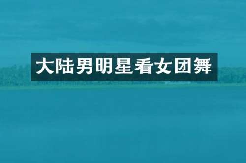大陆男明星看女团舞